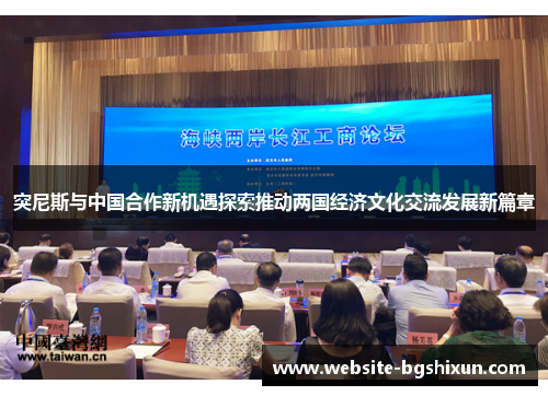 突尼斯与中国合作新机遇探索推动两国经济文化交流发展新篇章